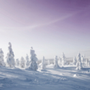 Météo Alerte série documentaire nature USHUAIA TV