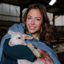 La doc et le véto série/feuilleton comédie dramatique TEVA