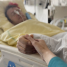 Chêne de vie : l'amour aux temps du cancer documentaire société PUBLIC SENAT - LCP AN