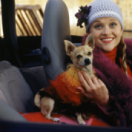 La revanche d'une blonde film comédie CINE + EMOTION