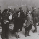 Misha and the wolves documentaire CANVAS