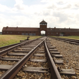 Auschwitz, la machine de mort nazie documentaire découverte RMC DECOUVERTE
