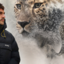 Dan O'Neill : mission panthères des neiges série documentaire nature ANIMAUX