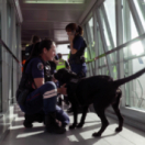 Paris CDG : le plus grand aéroport d'Europe série documentaire découverte CSTAR