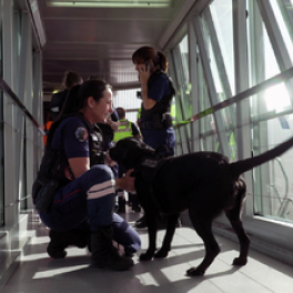 Paris CDG : le plus grand aéroport d'Europe série documentaire découverte CSTAR