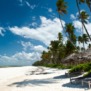 Opération Okavango magazine découverte USHUAIA TV