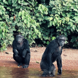 Jérôme, les yeux dans le bleu série documentaire nature CANAL +