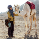 Zodi et Téhu, frères du désert film comédie d'aventure M6