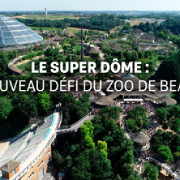 Le super dôme : le nouveau défi du zoo de Beauval documentaire découverte M6