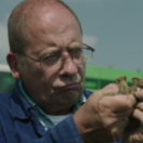 Eigen Kweek serie/feuilleton EEN