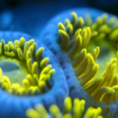 Queer par nature documentaire animalier ANIMAUX