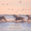 Coeurs sauvages documentaire animalier ANIMAUX