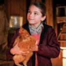 Young Sheldon série/feuilleton comédie Warner TV