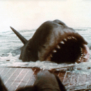 Jaws film thriller VTM4