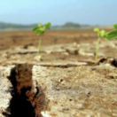 Météo Alerte série documentaire nature USHUAIA TV