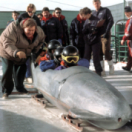 Rasta Rockett film aventure M6