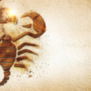 Le roi Scorpion : le livre des âmes téléfilm action SYFY