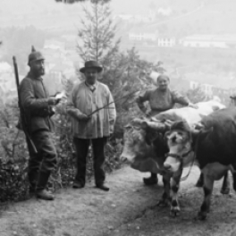 Alsace, dans la tourmente de l'Histoire documentaire société FRANCE 5