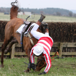 Les 100 vidéos qui ont fait rire le monde entier divertissement GULLI