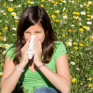 Sur le front magazine environnement FRANCE 5