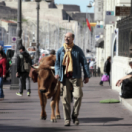 La vache film comédie FRANCE 3