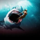 Shark Bait film thriller VTM4