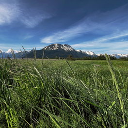 Fièvre climatique en Arctique documentaire nature ARTE
