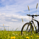 Enquêtes de région magazine reportage FRANCE 3