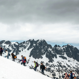 Les têtes givrées film comédie dramatique CSTAR