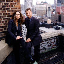 Les experts : Manhattan série/feuilleton policier TV BREIZH