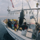 Thalassa, aventures extrêmes magazine mer FRANCE 5