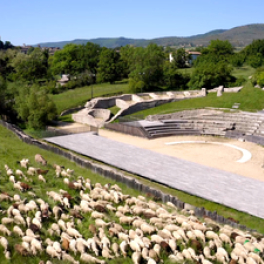 Des racines et des ailes magazine reportage FRANCE 3