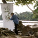 Francis Hallé, une vie en forêt documentaire découverte USHUAIA TV