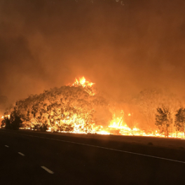 Face aux éléments : la planète en colère série documentaire nature 6TER
