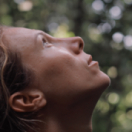 Héroïnes de nature série documentaire animalier ANIMAUX