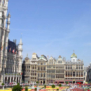 Attentats de Bruxelles : l'urgence d'informer documentaire société TIPIK