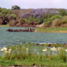 Des trains pas comme les autres série documentaire découverte USHUAIA TV