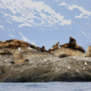 Alaska, le nouveau terrain de jeux des USA documentaire société LA UNE (RTBF)