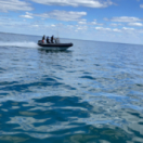 JPCV, des Bretons, des Fiiish et l'Homme qui fumait les vieilles documentaire nature CHASSE & PECHE