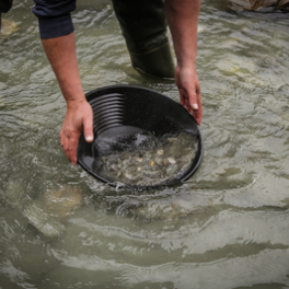 Alaska : la ruée vers l'or téléréalité DISCOVERY CHANNEL