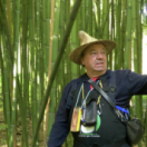 Monsieur Bambou documentaire nature USHUAIA TV