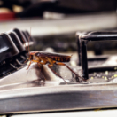 90' enquêtes magazine - duiding samenleving TMC