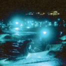 Trafic d'anguilles et argent sale documentaire société ARTE