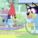 Bluey dessin animé DISNEY CHANNEL