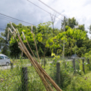 Pékin Express : au royaume des dragons jeu M6