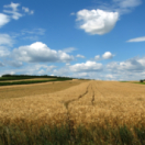 Sur le front magazine environnement FRANCE 5