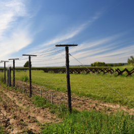 L'échec du rideau de fer ? documentaire société PUBLIC SENAT - LCP AN