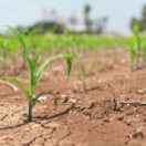 Sur le front magazine environnement FRANCE 5