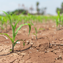 Sur le front magazine environnement FRANCE 5
