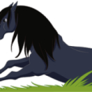 Le ranch série/feuilleton animation TIJI